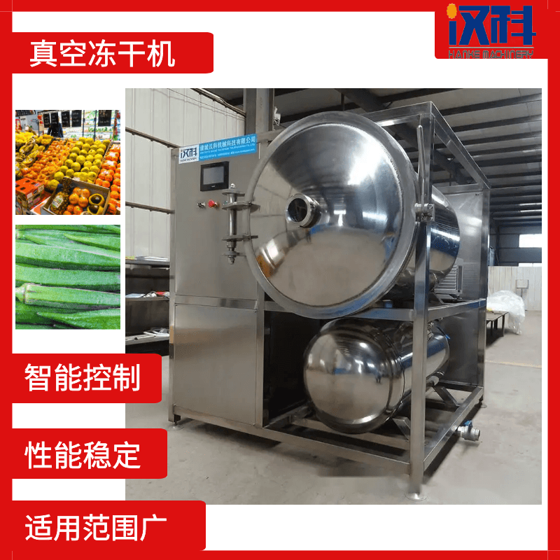 鸡胸肉冻干机 海产品真空冷冻干燥机 玫瑰花真空冻干设备  全自动冻干机  低温冻干机