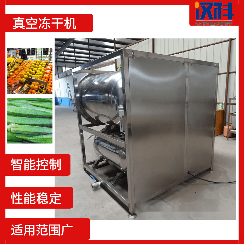 鸡胸肉冻干机 海产品真空冷冻干燥机 玫瑰花真空冻干设备  全自动冻干机  低温冻干机