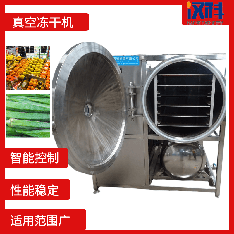 鸡胸肉冻干机 海产品真空冷冻干燥机 玫瑰花真空冻干设备  全自动冻干机  低温冻干机