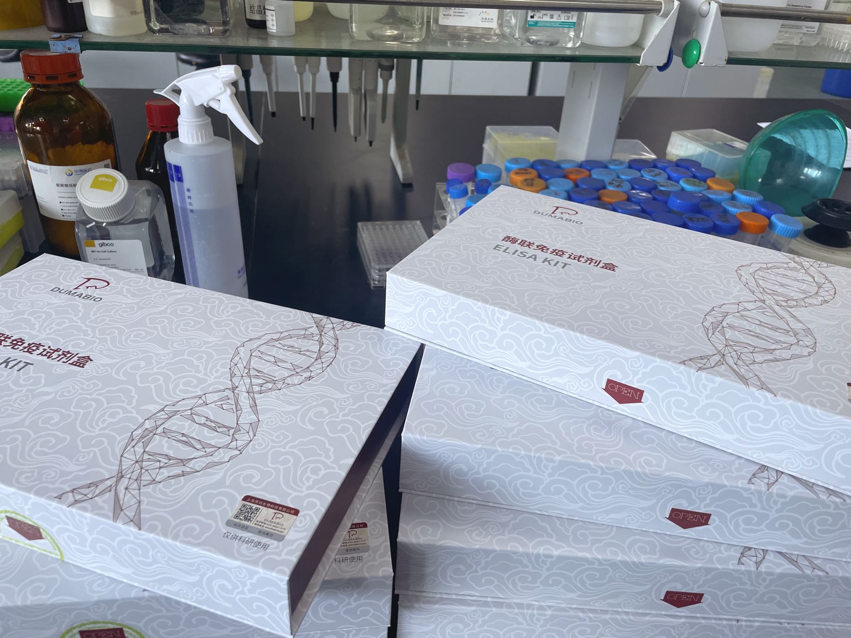 Mouse Reovirus鼠呼肠孤病毒3型RT-PCR试剂  特异性强  灵敏度高  免费代测
