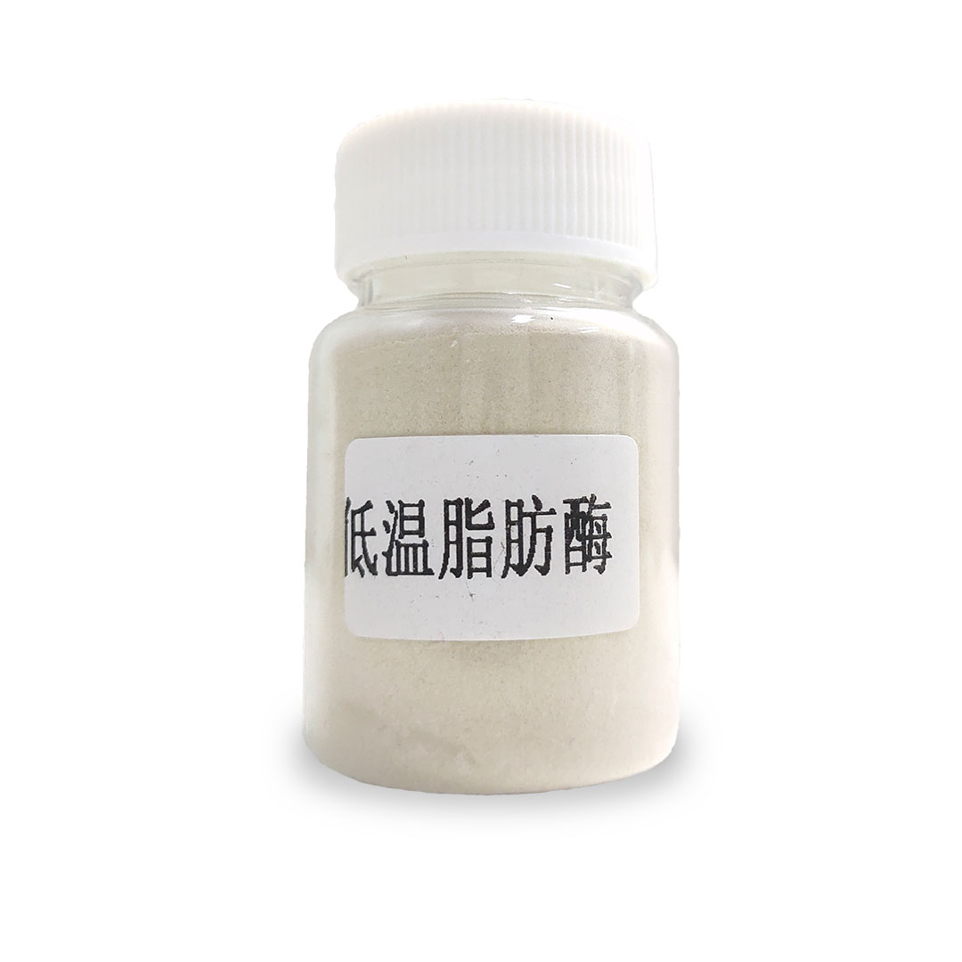 众合众利生物酶酵素脂肪酶粉剂2010洗衣粉原料