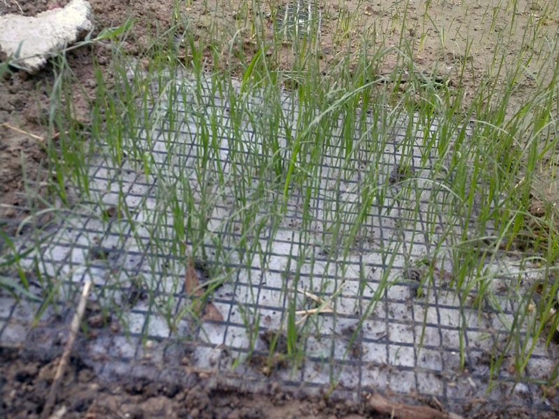 山东抗冲生物毯哪家好