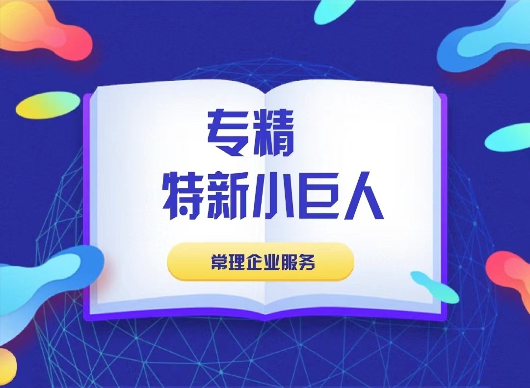 专精特新小巨人企业认定材料解读  项目申报公司