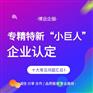 2024年江苏省专精特新项目申报