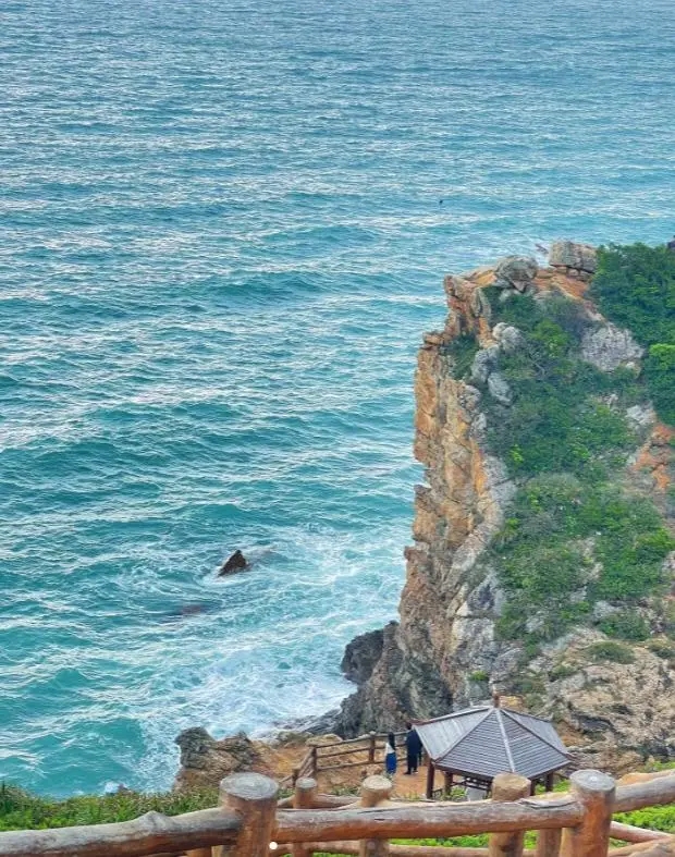 国际旅行社转让一般流程