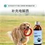 宠物电解质水代加工厂家