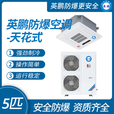 云南机房英鹏防爆空调风管式5匹