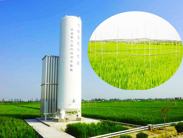 培养架光源气候室  人工气候室  植物工厂