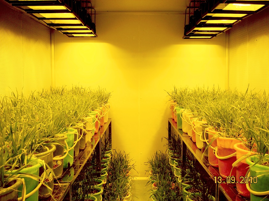 顶置光源气候室  人工气候室  植物工厂
