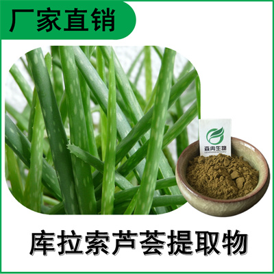 森冉生物 库拉索芦荟提取物 芦荟粉 芦荟甙 多种规格原料粉