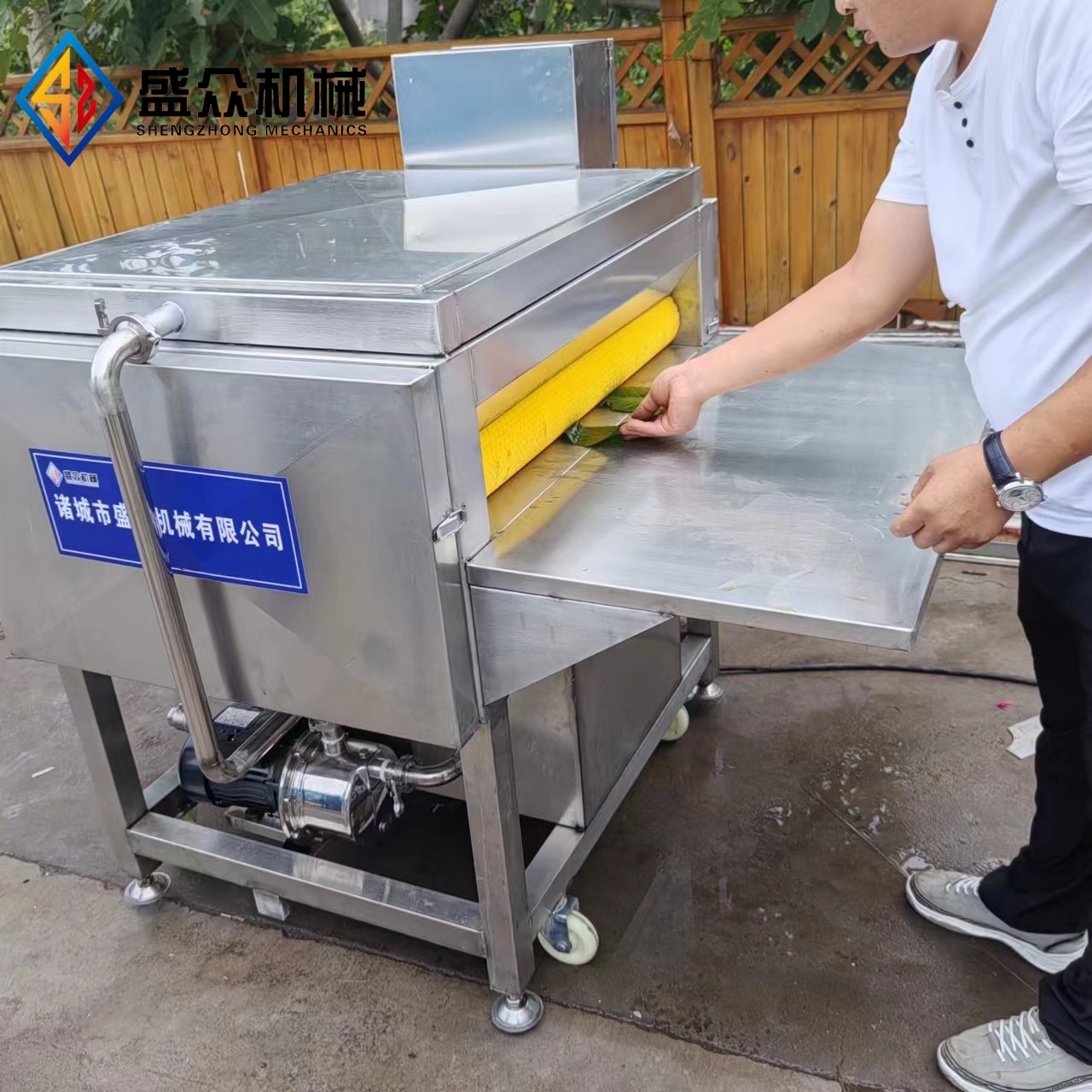 粽叶清洗机 胡叶粽叶高压喷淋毛刷清洗机