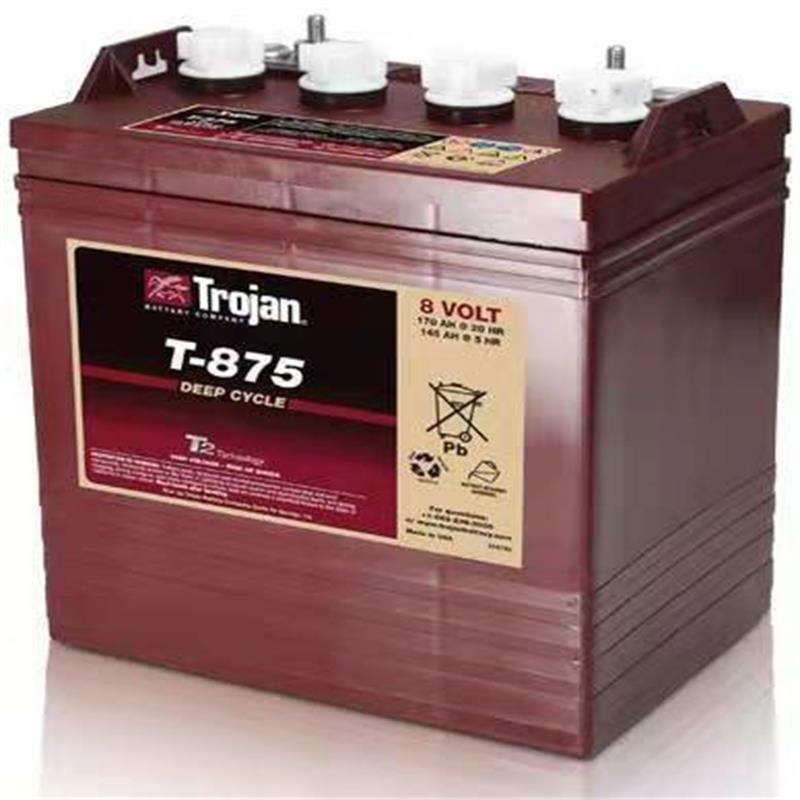 Trojan邱健蓄电池升降机/叉车加液观光车蓄电池  加液观光车电池  T-125 6V240AH