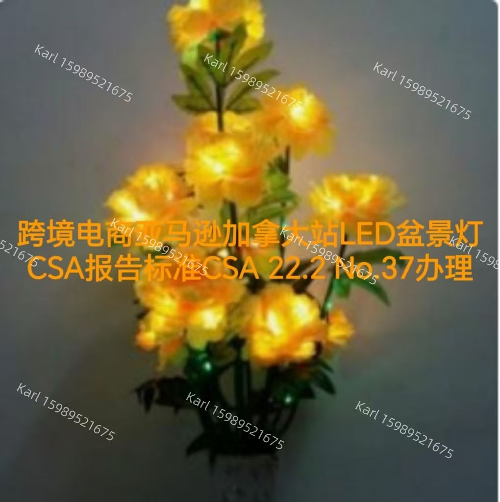 跨境电商亚马逊加拿大站LED盆景灯CSA报告办理