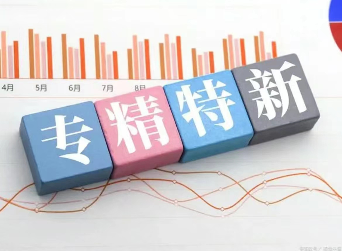 2024年专精特新申报 问题解读（二）  专精特新项目申报  专精特新补助