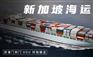 货物发新加坡海运双清到门散货拼箱费用