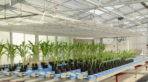 PlantScreen 模块化系统