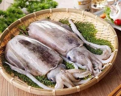 墨鱼进口报关流程！  代理清关