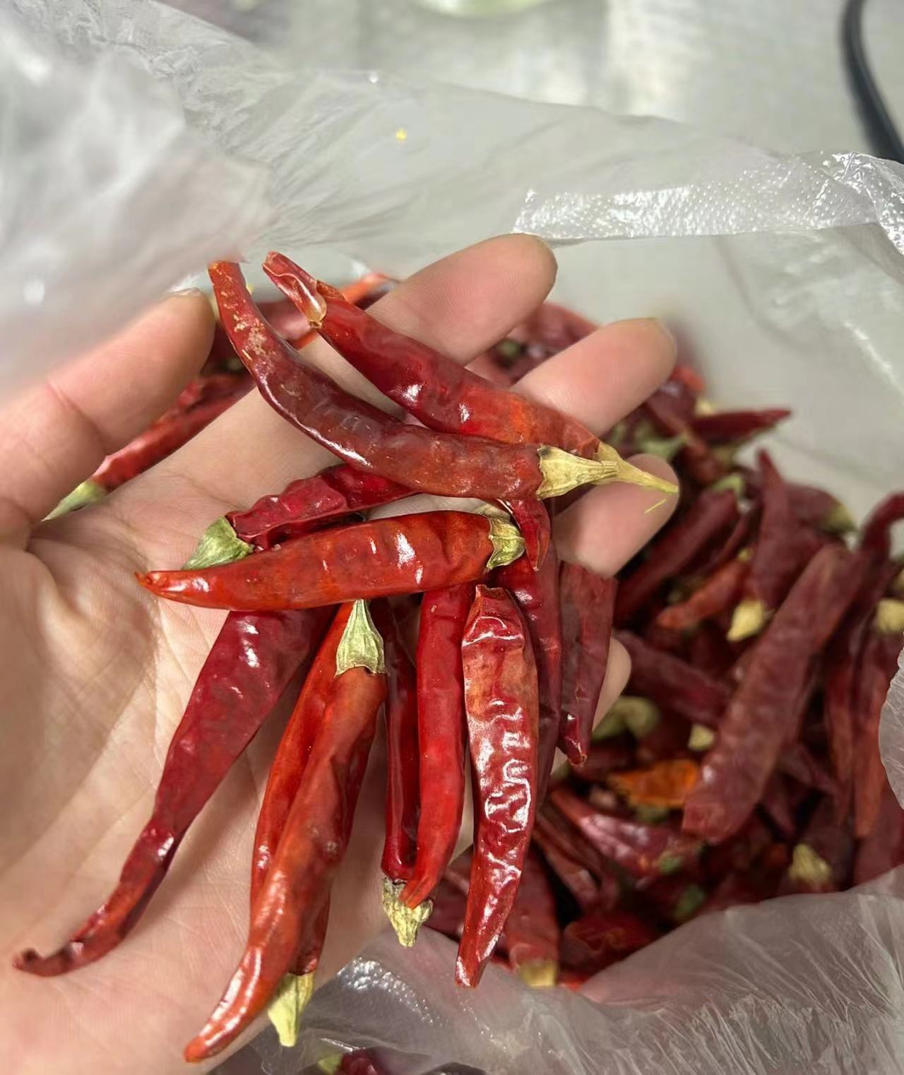 干辣椒香料是如何进口报关