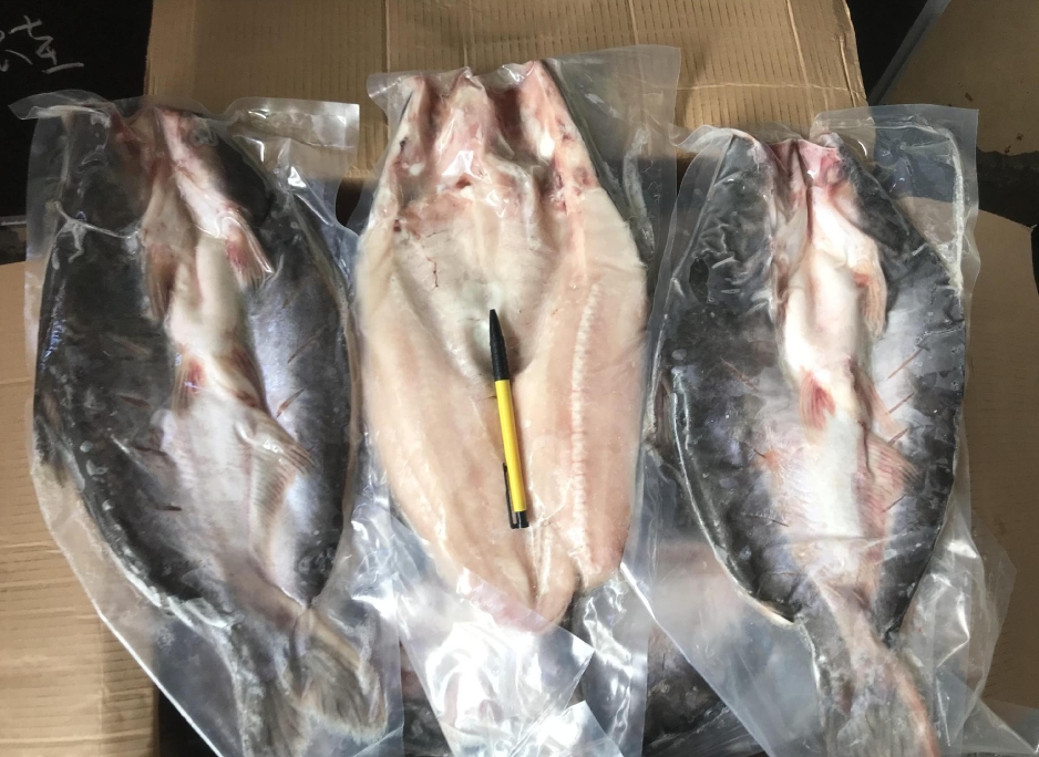 越南巴沙鱼进口清关需要的单证资料？  进口越南巴沙鱼清关  进口报关清关