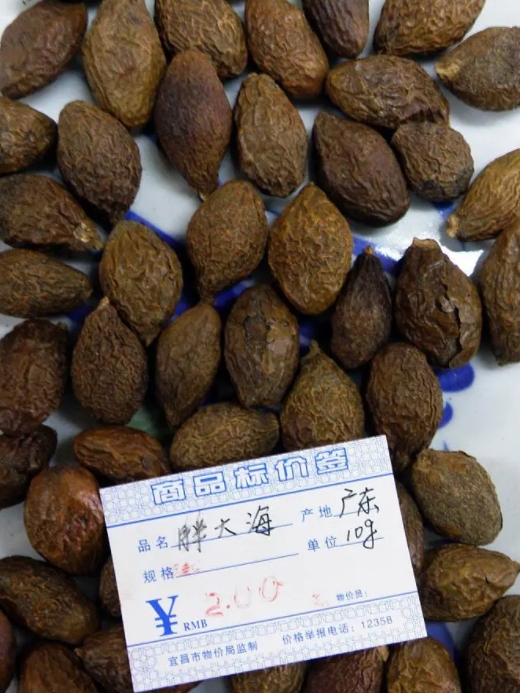 怕上火就喝胖大海速看清关流程  进口清关流程  连云港进口清关  食品进口清关