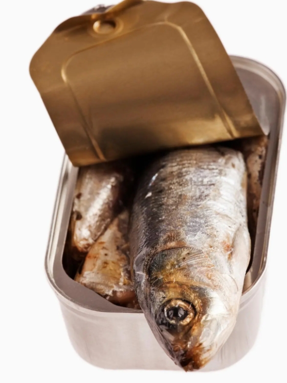 沙丁鱼罐头的进口清关流程  连云港进口清关  食品进口清关