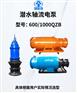 QZB泵站排水泵城市排涝