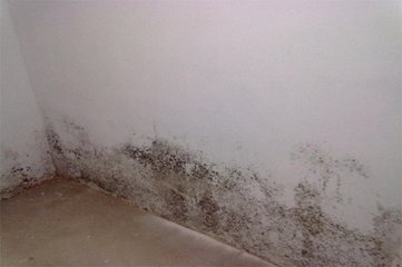 广州天河长湴除霉公司，上门清洁墙壁霉斑，防霉处理  上门除霉  天花板清除霉渍