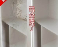广州海珠除霉公司，清洁霉菌服务，处理墙体发霉???