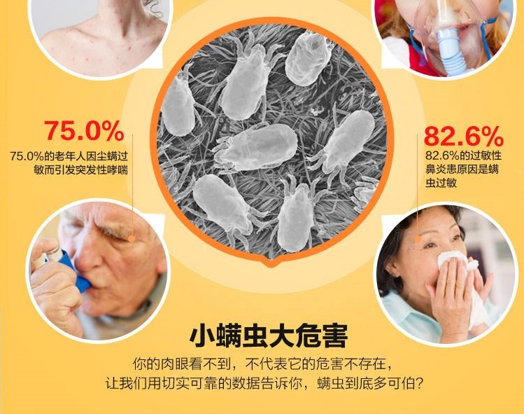 广州除螨虫公司，室内除螨虫，床垫沙发螨虫清理