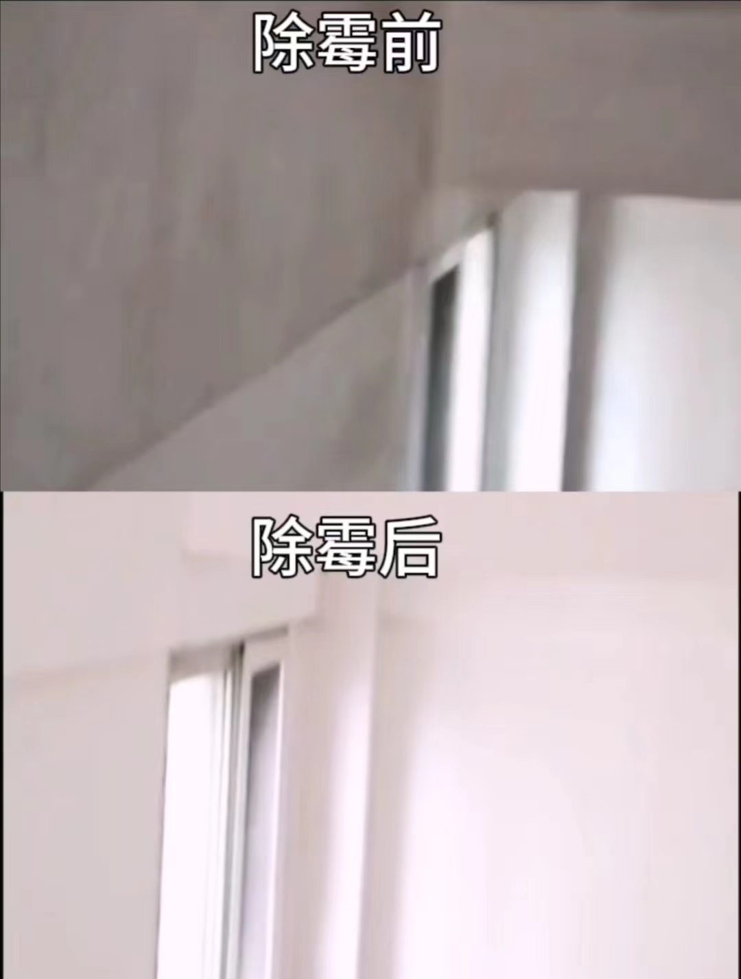 广州海珠清洁发霉公司，处理天花发霉，房屋除霉除发黑  除霉服务  写字楼除霉