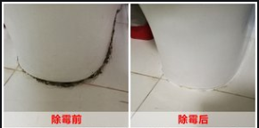 广州海珠清洁发霉公司，处理天花发霉，房屋除霉除发黑  除霉服务  写字楼除霉