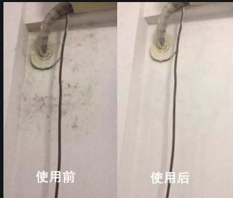 广州芳村除霉公司，上门处理墙壁发霉，除霉杀菌  除霉服务