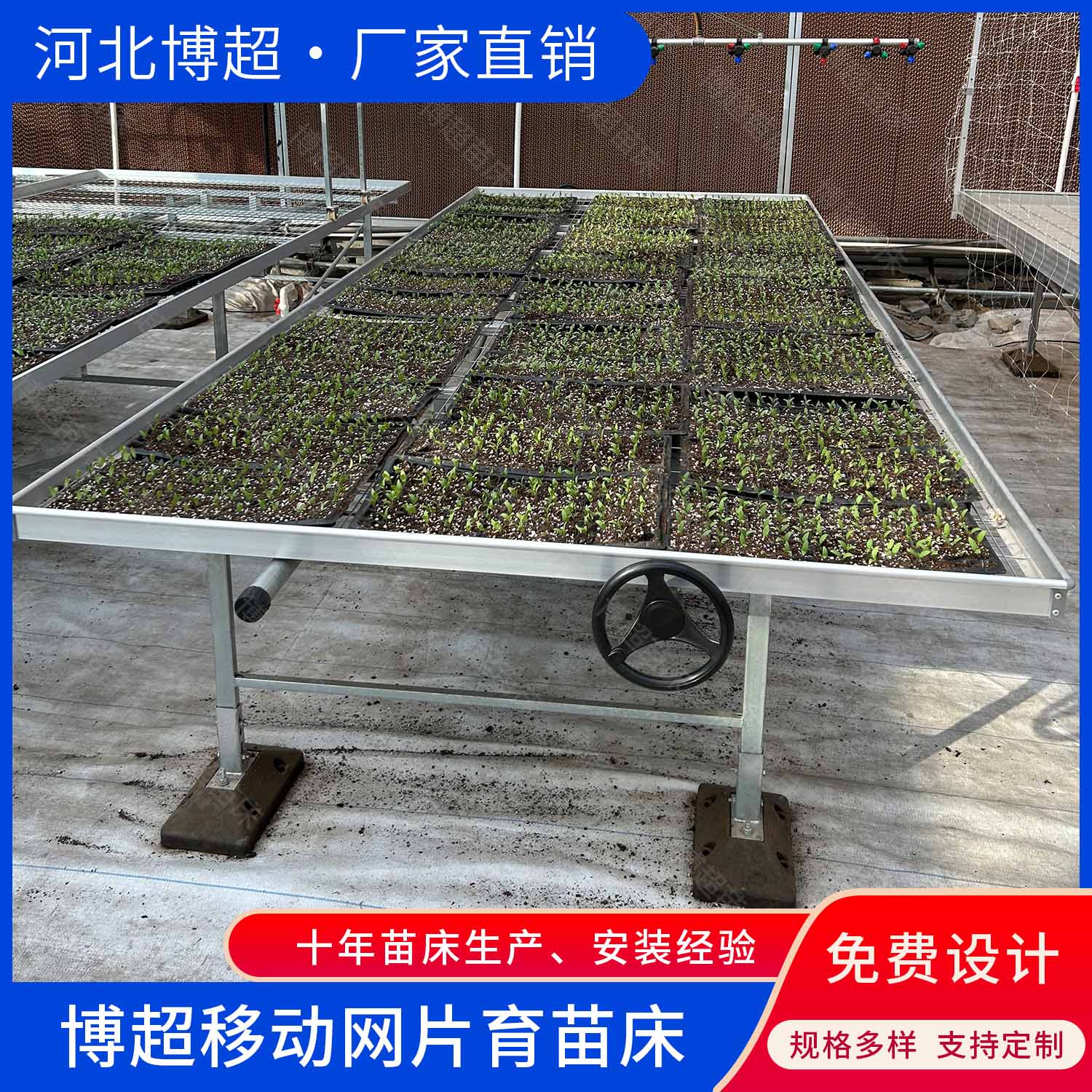 育苗热镀锌网片苗床 移动苗床  养花床