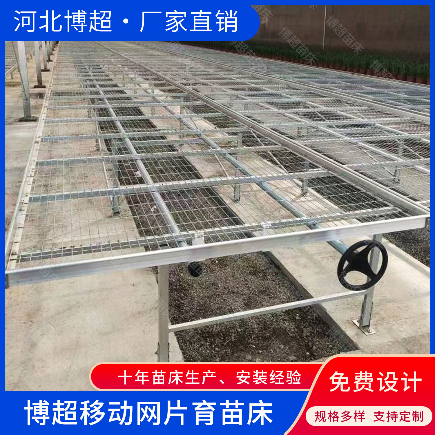 热镀锌育苗床 苗床网片 温室种植育苗床  育苗网  热镀锌网片