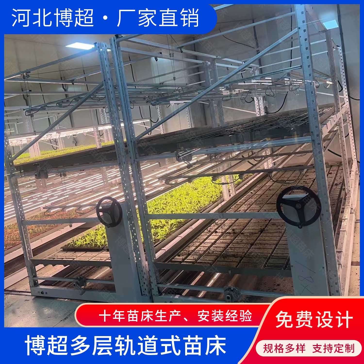 植物工厂货架 叶菜水培 多层潮汐苗床  多层苗床