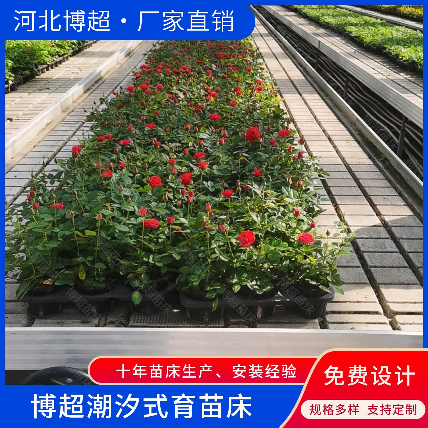 潮汐苗床 育苗植物生长托盘 叶菜水培仓  养花床