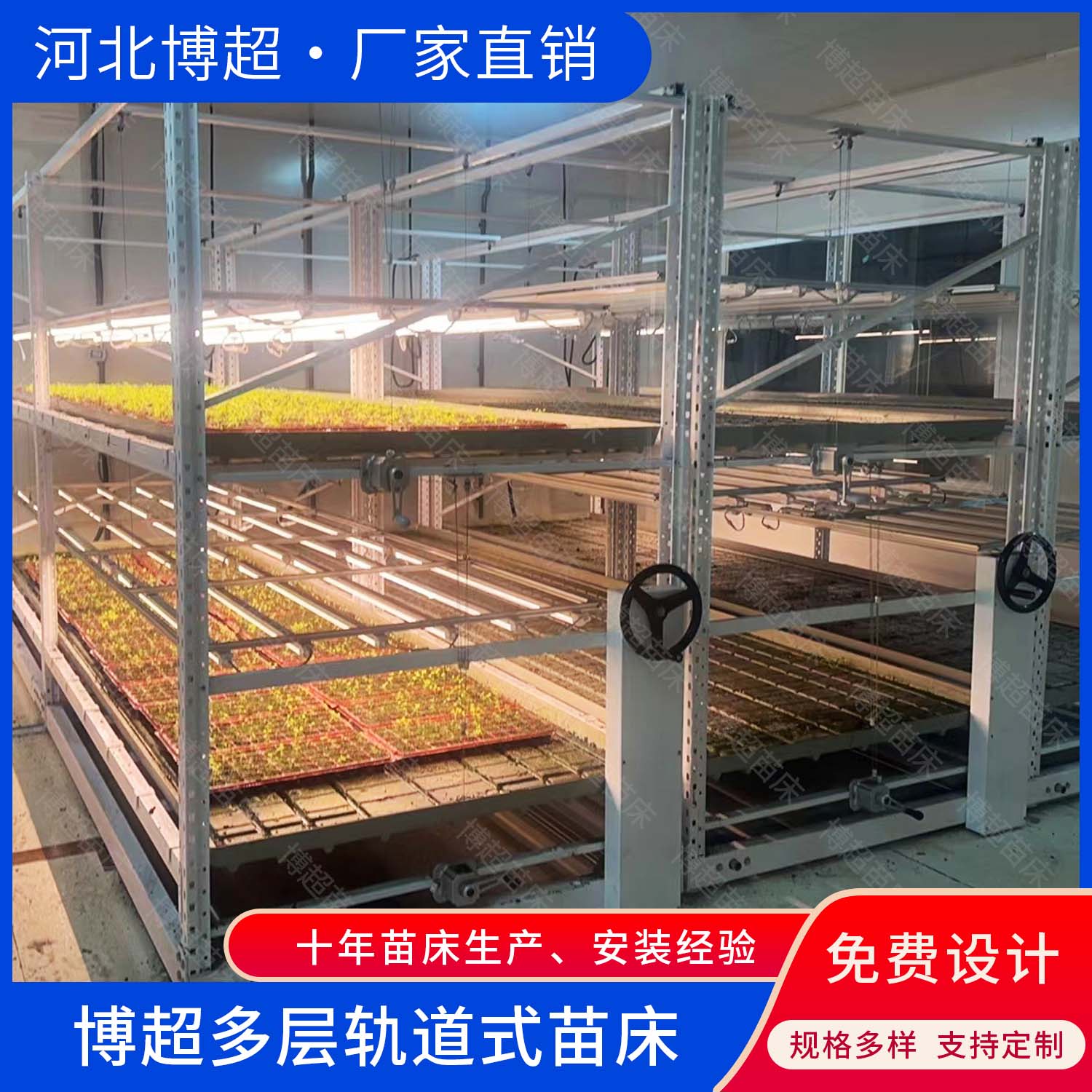 植物工厂种植架 多层轨道式育苗移动苗床  轨道苗床