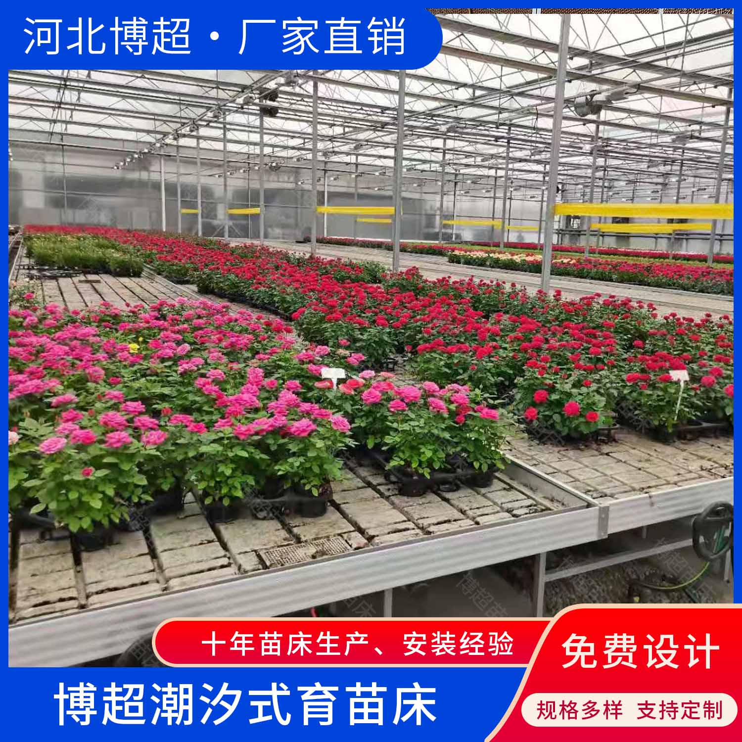 物流苗床厂家 物流苗床生产 物流苗床定制  自动苗床  智能苗床