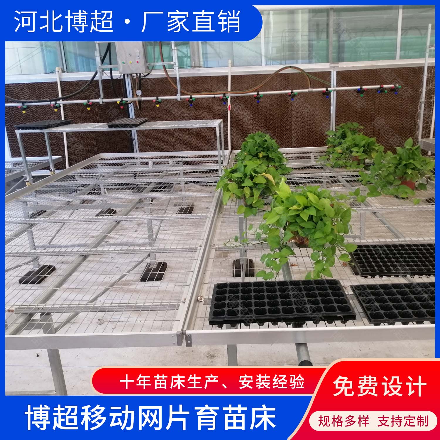 青州大棚育苗床 热镀锌网片左右滚动苗床  育苗网