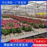 物流苗床厂家 物流苗床生产 物流苗床定制