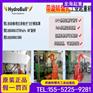 冶金化工运输装卸储存选德国HydroBull液压小吊机