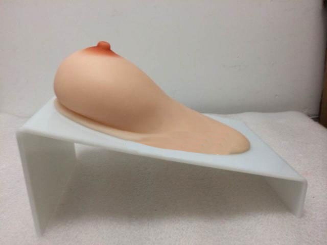益联医学哺乳期乳房模型