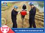 便携式柴油打桩机DZF-120小型打桩机 操作简单