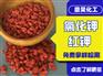 60含量红钾氯化钾 进口氯化钾