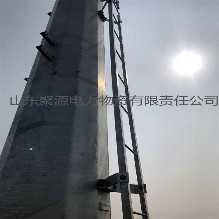 双杆爬梯热镀锌爬梯尺寸可定做