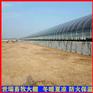 新式牛舍大棚建设 黄牛养殖大棚搭建 养牛大棚安装厂家