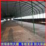 肉牛养殖大棚施工 牛舍大棚建设 养牛场牛棚施工设计