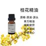 桂花精油 金桂提取 单方精油 研发