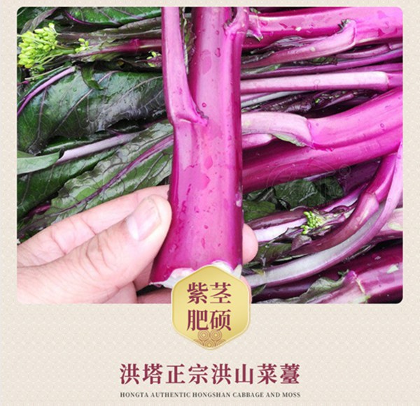 湖北特产洪山菜苔价格、正宗洪山菜苔好吃不腻