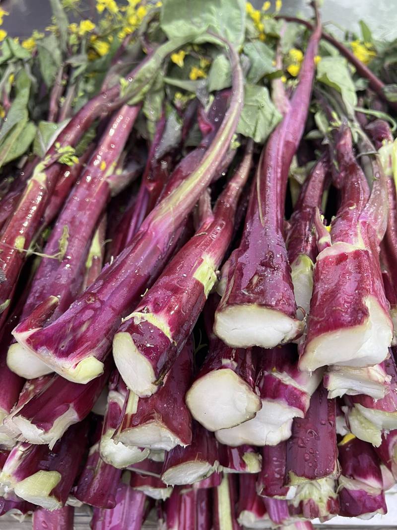 湖北特产洪山菜苔价格、正宗洪山菜苔好吃不腻